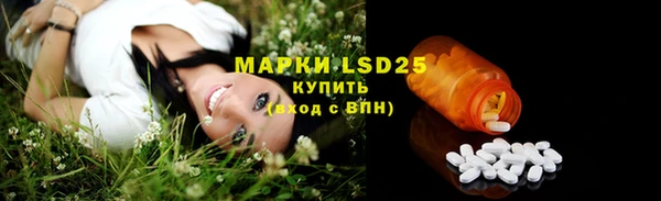 крисы Дмитриев