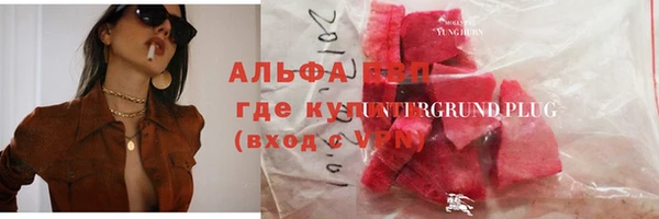 СК Дмитровск